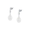 Argent Et Blanc
