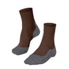 Chestnut (5534)