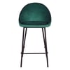 Vert Canard