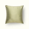 Vichy Vert