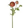 Rose Et Vert