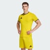 Team Yellow / Black