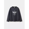 Gris Anthracite
