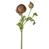 Rose Foncé Et Vert