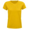 Bouton D'Or