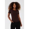Marron Chocolate Plum