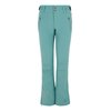 Crocodile Green