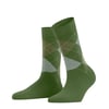 Bambou Vert