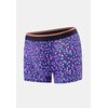 Gavotte Purple
