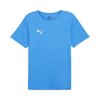 Puma t shirt heren