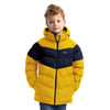 Jaune Foncé