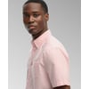 Chambray Rose Corail