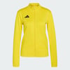 Team Yellow / Black