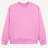 Rose Pastel