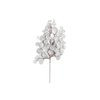 Argent