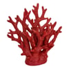Modèle B