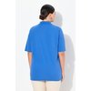 Bleu Paon