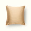 Vichy Camel