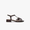 Marron Marron Fonce