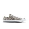 Converse ox