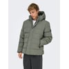 Grise - Castor Gray 1