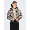 Marron - Silver Mink 1