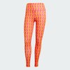 Bright Orange / Bold Pink