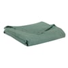 Vert De Gris