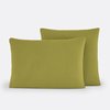 Vert Olive