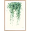 Affiche + Cadre En Bois - Chêne