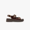 Marron Chocolat