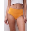 Orange Sari