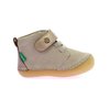 Rozebeige