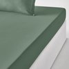 Eucalyptus