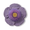 Miel Foncé, Aube, Violet Foncé, Bleu Marine, Naturel, Vert Canard