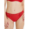 Rouge Flamboyant