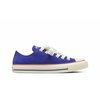 Indigo Blue