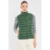 Vert Foret