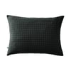 Vert Sapin