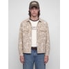 Grise - Feather Gray 1