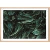 Affiche + Cadre En Bois - Chêne