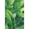Tableau Alu Dibond