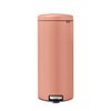 Copper-Coloured Orange