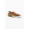 Multicolore
