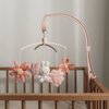Rose, Beige