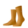 Ambre