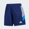 Dark Blue / Bright Royal / White
