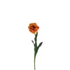 Orange Et Vert