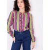 Multicouleur Tulipe