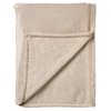 Pumice Stone